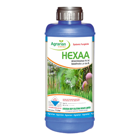 Hexaa
